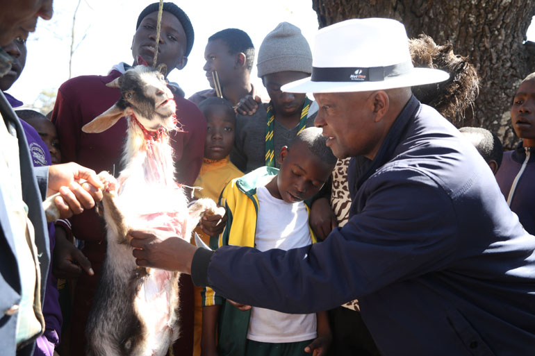 Chief Mutasa teaches primary school boys how to slaughter a goat