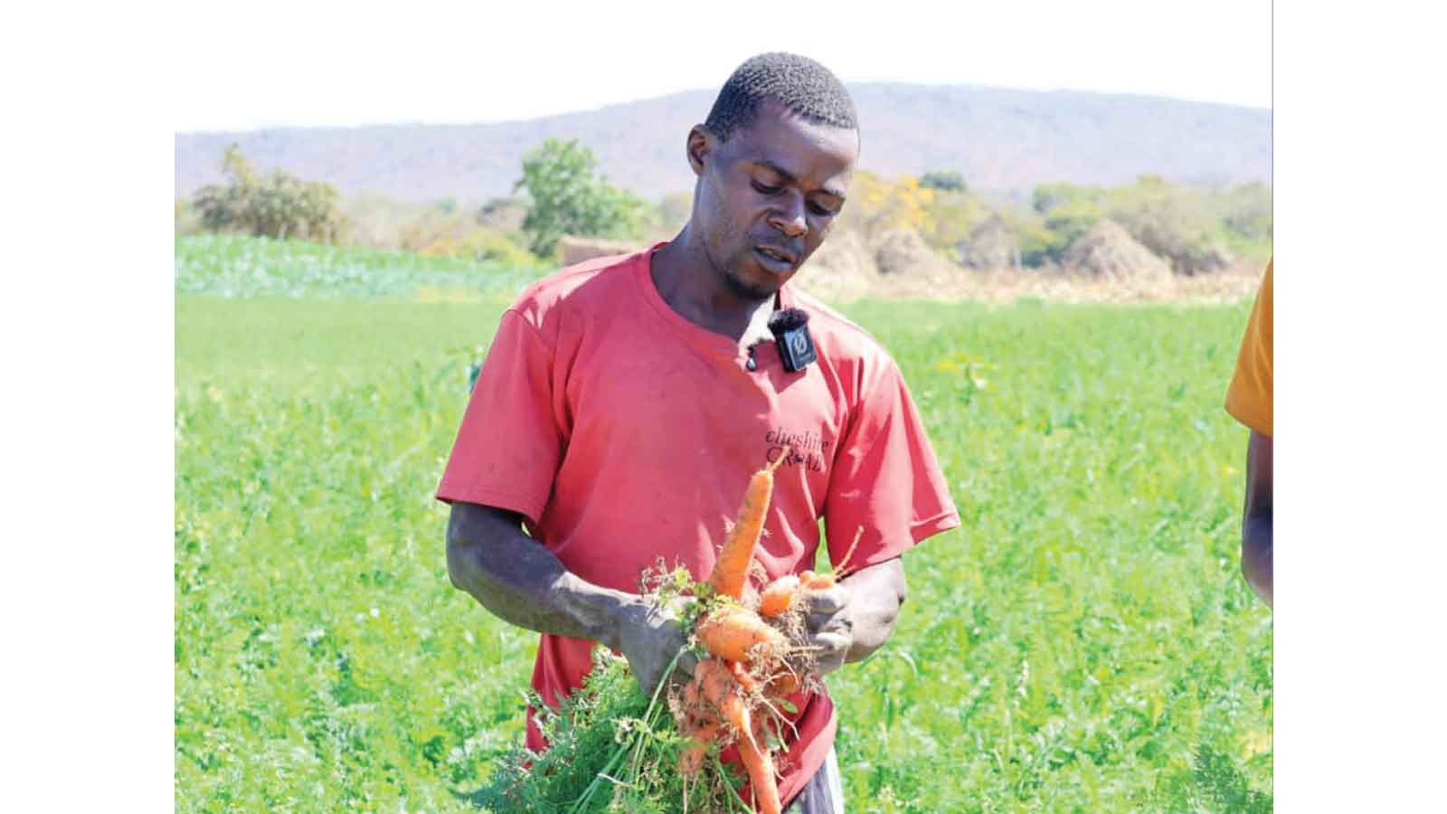 Zim’s quiet revolution: How a tax on grain imports is helping revive irrigation schemes