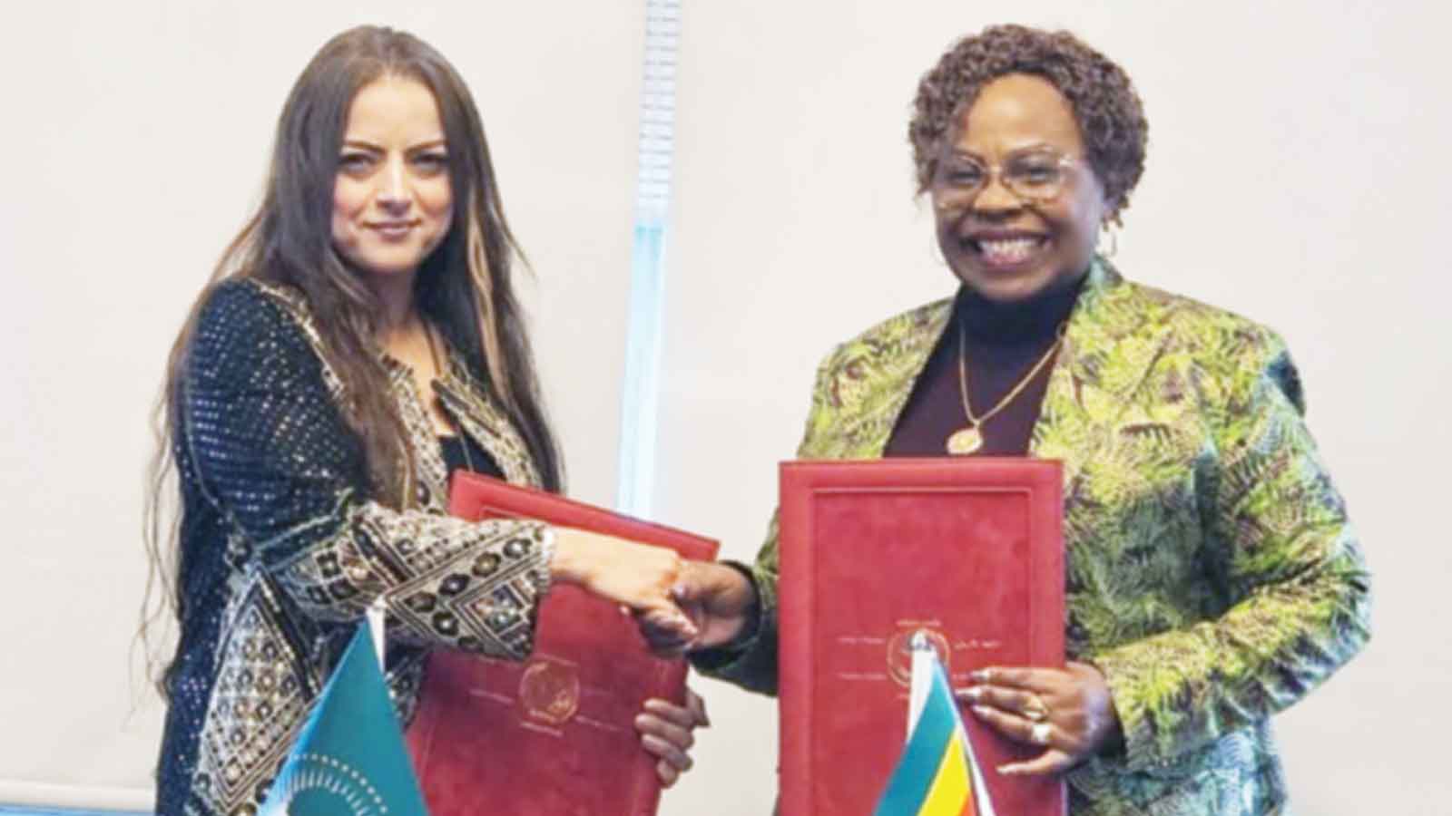 Zim signs AU Convention on ending violence against women, girls