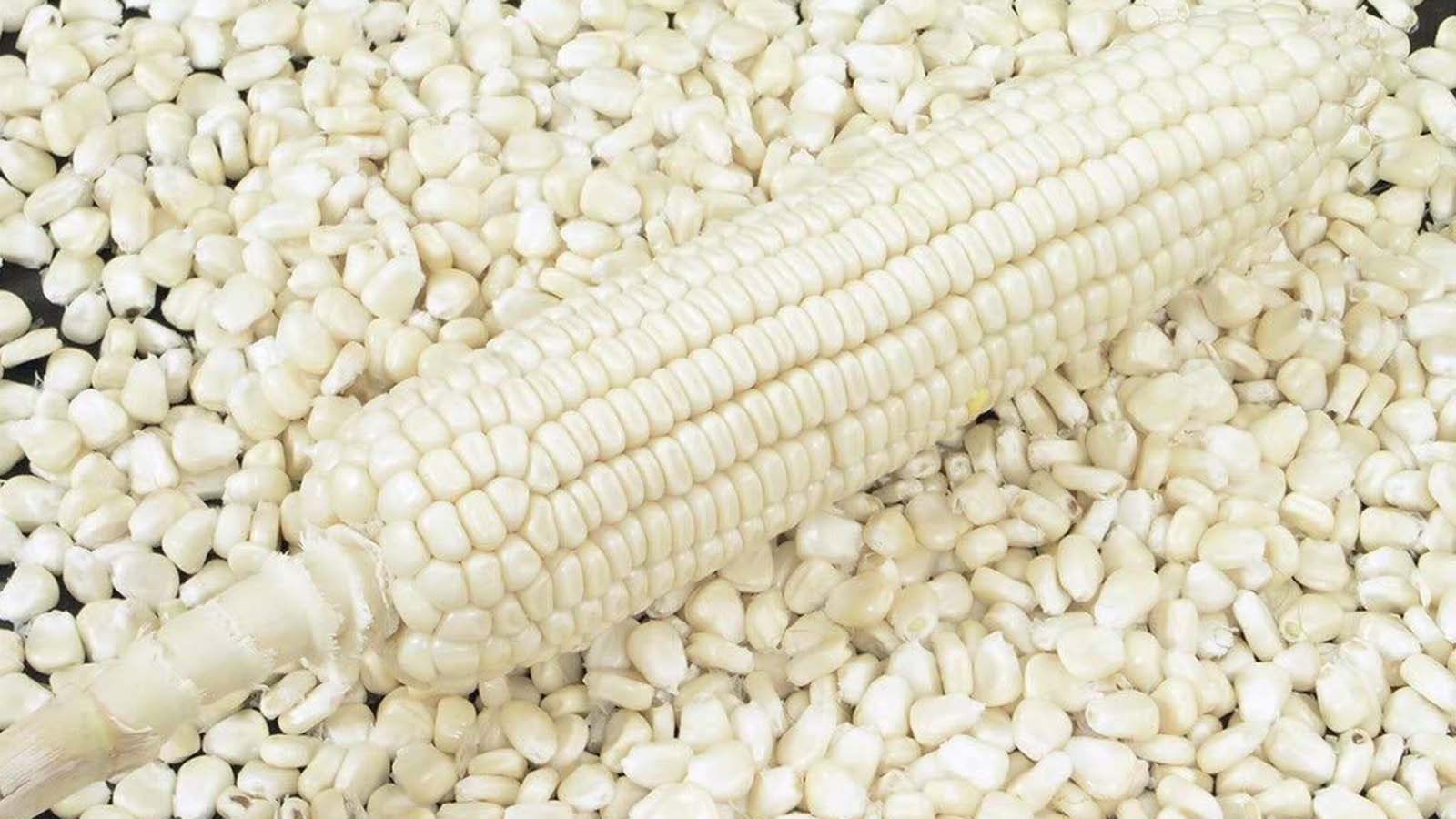 ZMX postpones weekly grain auction as Zimbabwe maize prices rise 5 percent to US$348
