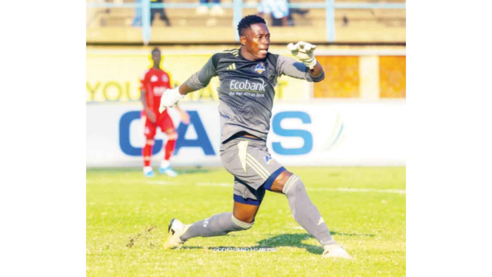VAR long overdue in Zim