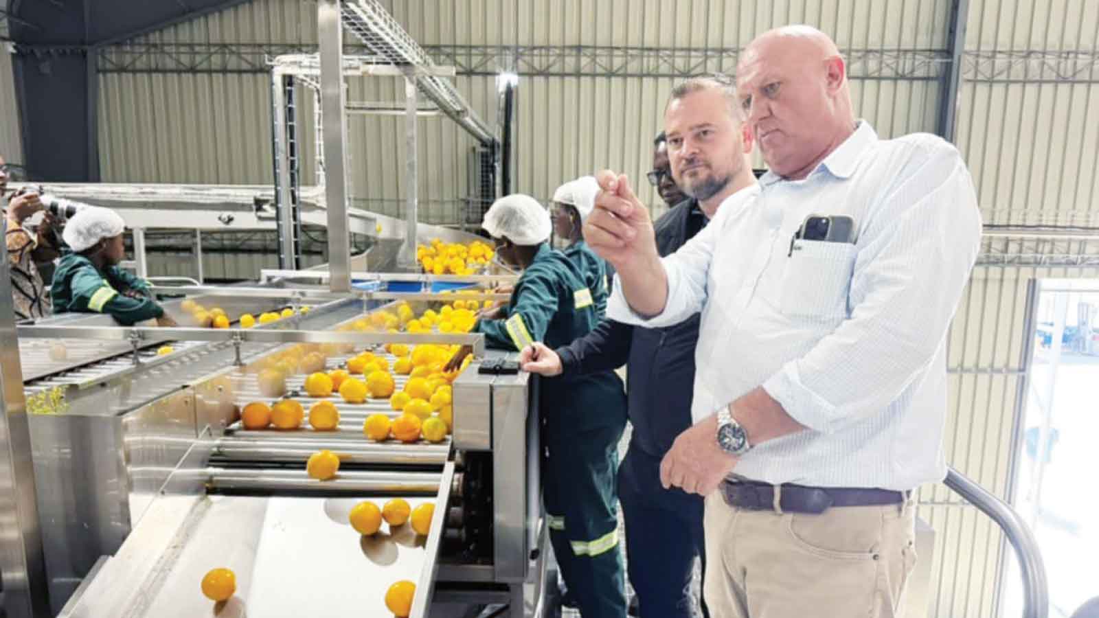 US$40m Beitbridge citrus project drives rural industrialisation