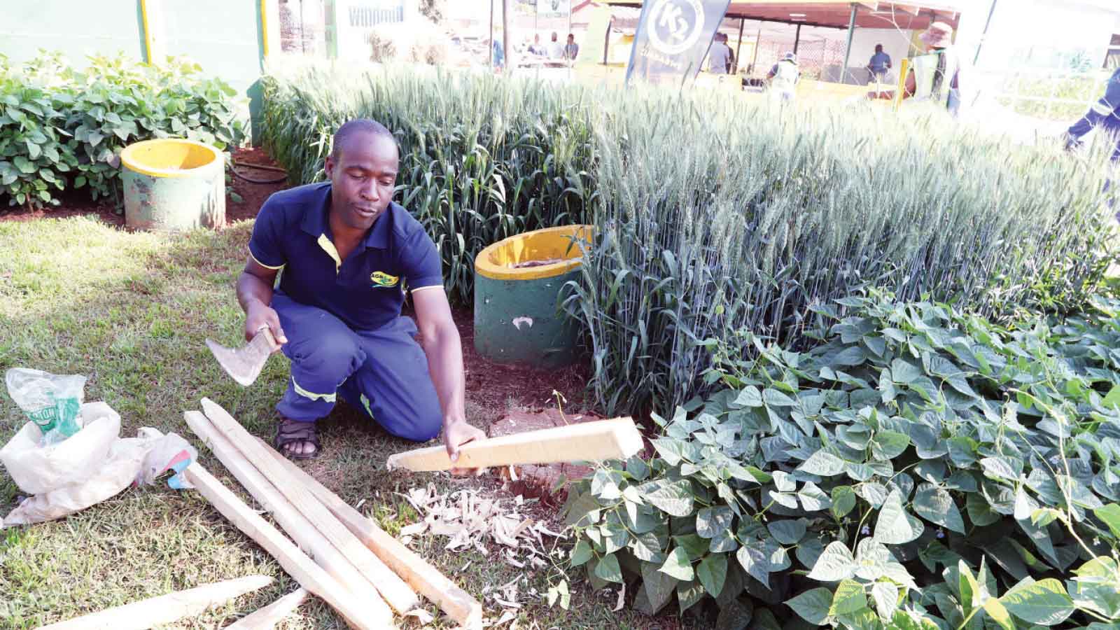 Agric Show 2026 roars into life