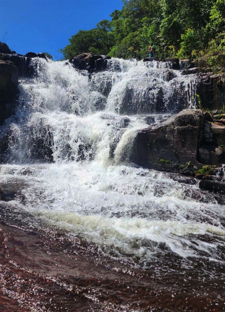 Of lush, fresh waters of Silver stream