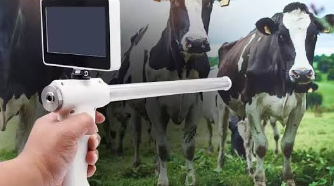 Artificial lnsemination for cattle in Zimbabwe: Scaling up the way to go