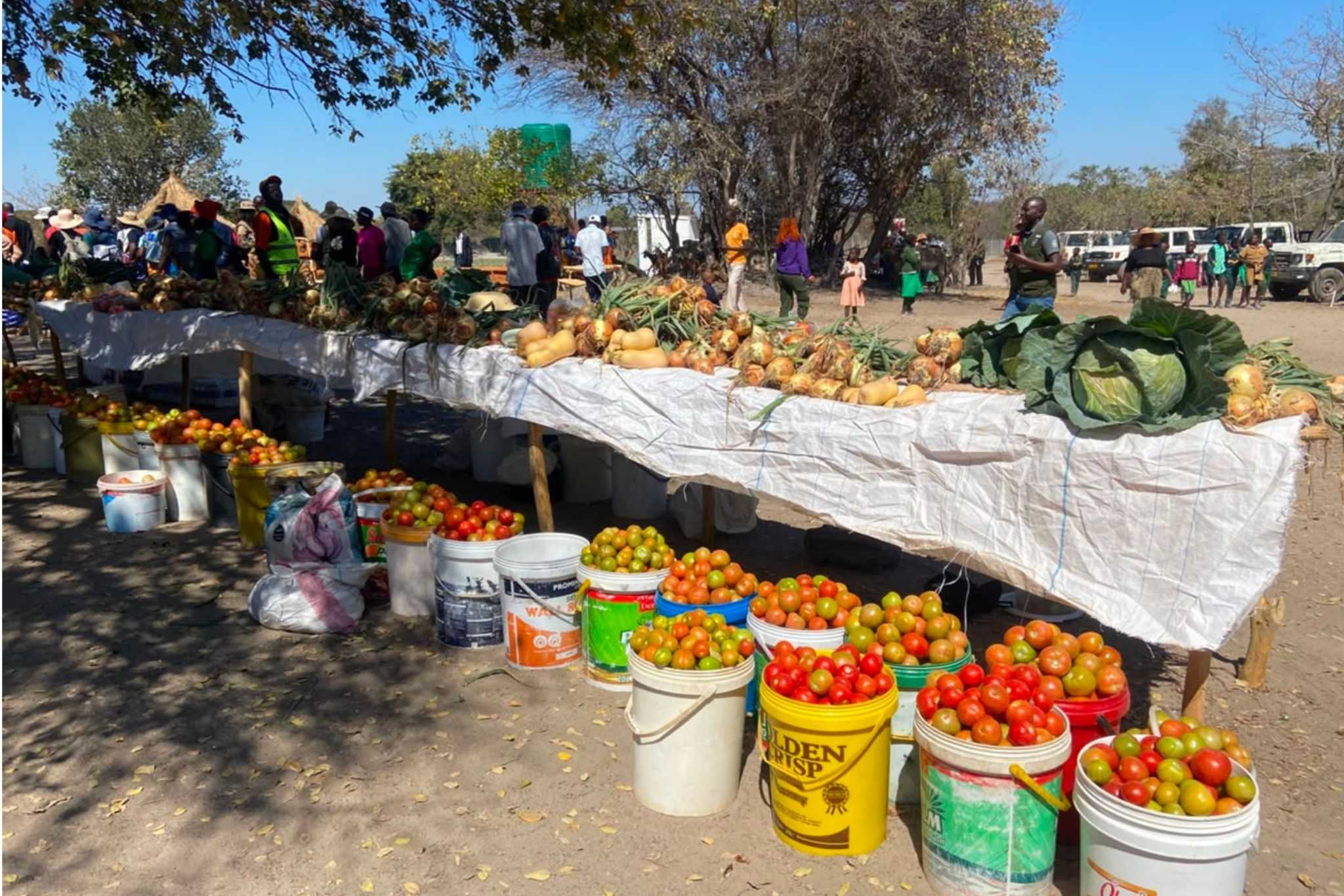 Binga leads in Wetlands restoration, transforms lives and livelihoods