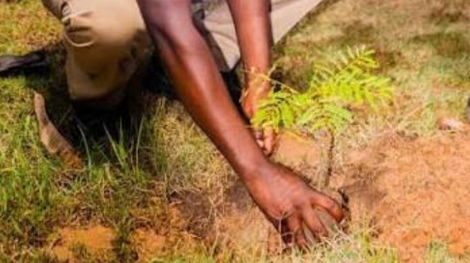 Behavioural change pivotal to climate communication