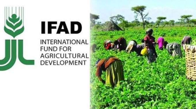 100 village business units to climate-proof farmers