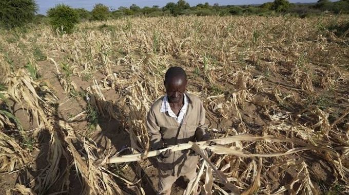 El Niño: Government pushes drought-ready farming