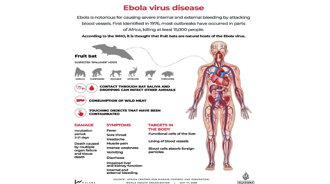 Ebola outbreak caused by new ‘animal transmission’: What that means