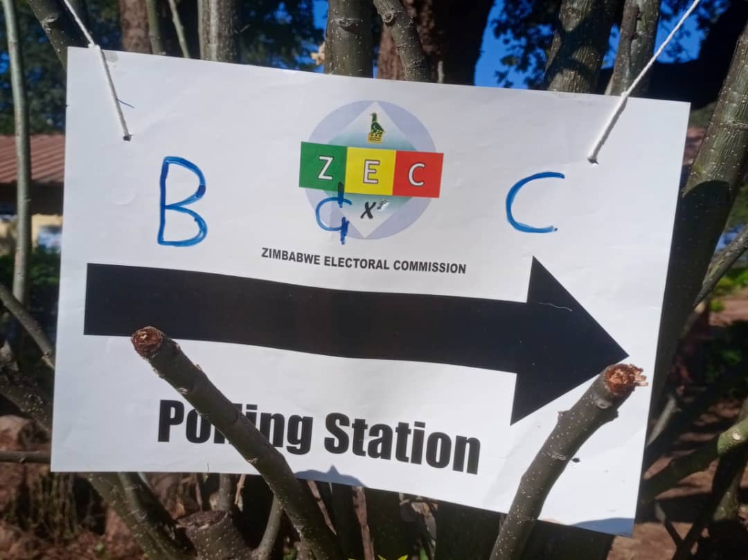 Voting starts in Victoria Falls By-Elections
