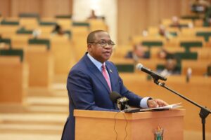 Finance, Economic Development and Investment Promotion Minister Professor Mthuli Ncube