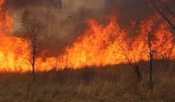 EMA warns of high veld-fire risk as restriction season begins