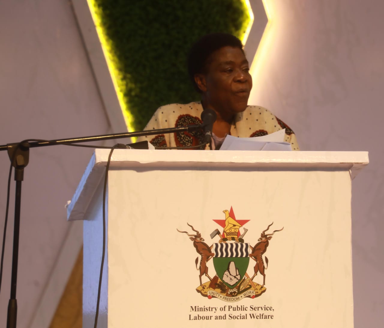 Explore Bulawayo’s rich heritage, summit delegates urged