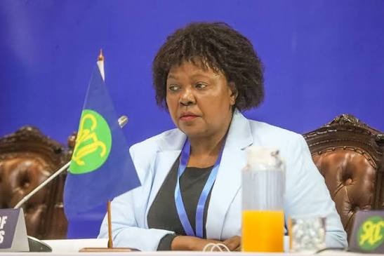Dr Mavis Sibanda to headline Bubi District Business Expo