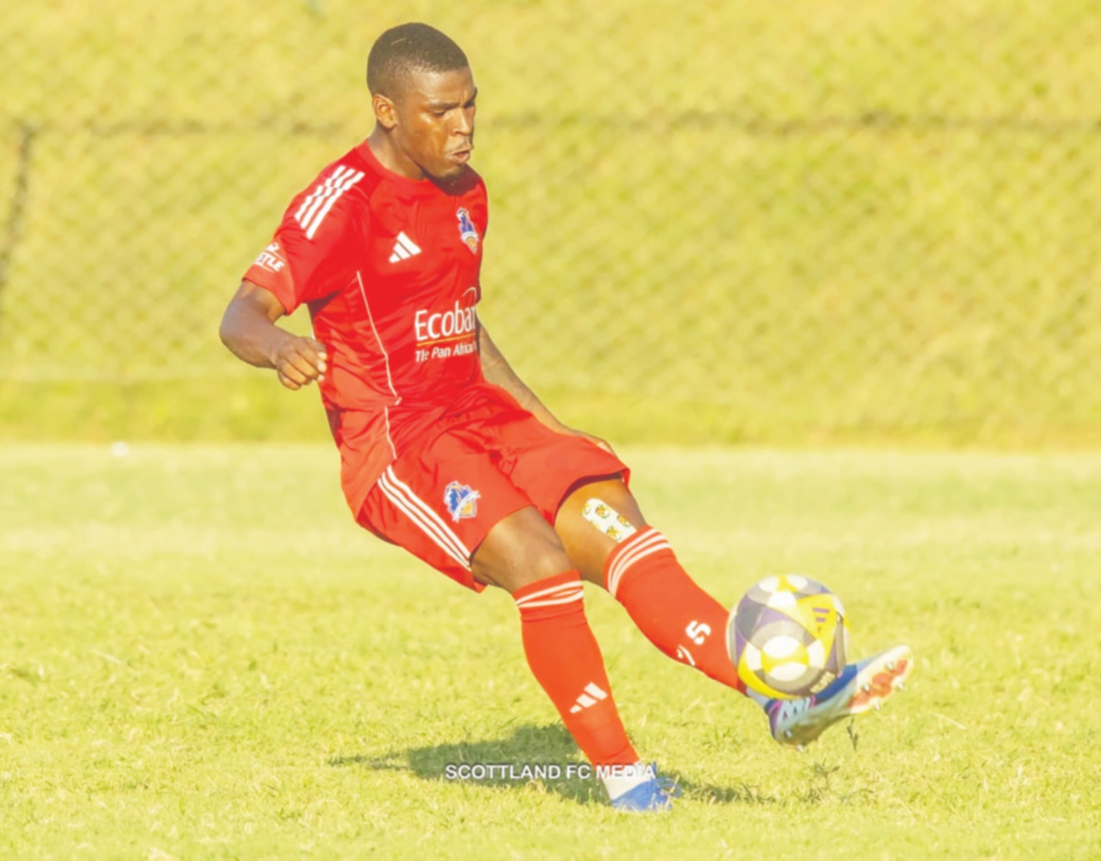 Thwala, Scottland’s silent weapon