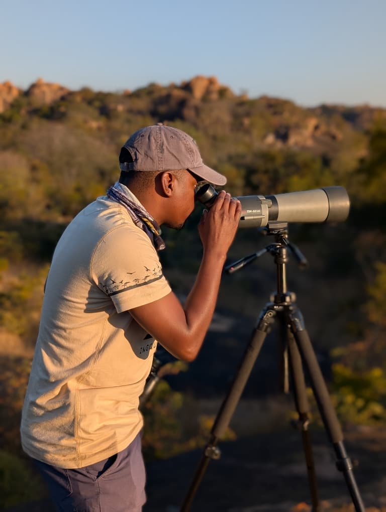 Saving vultures through art: Byo creatives answer nature’s call