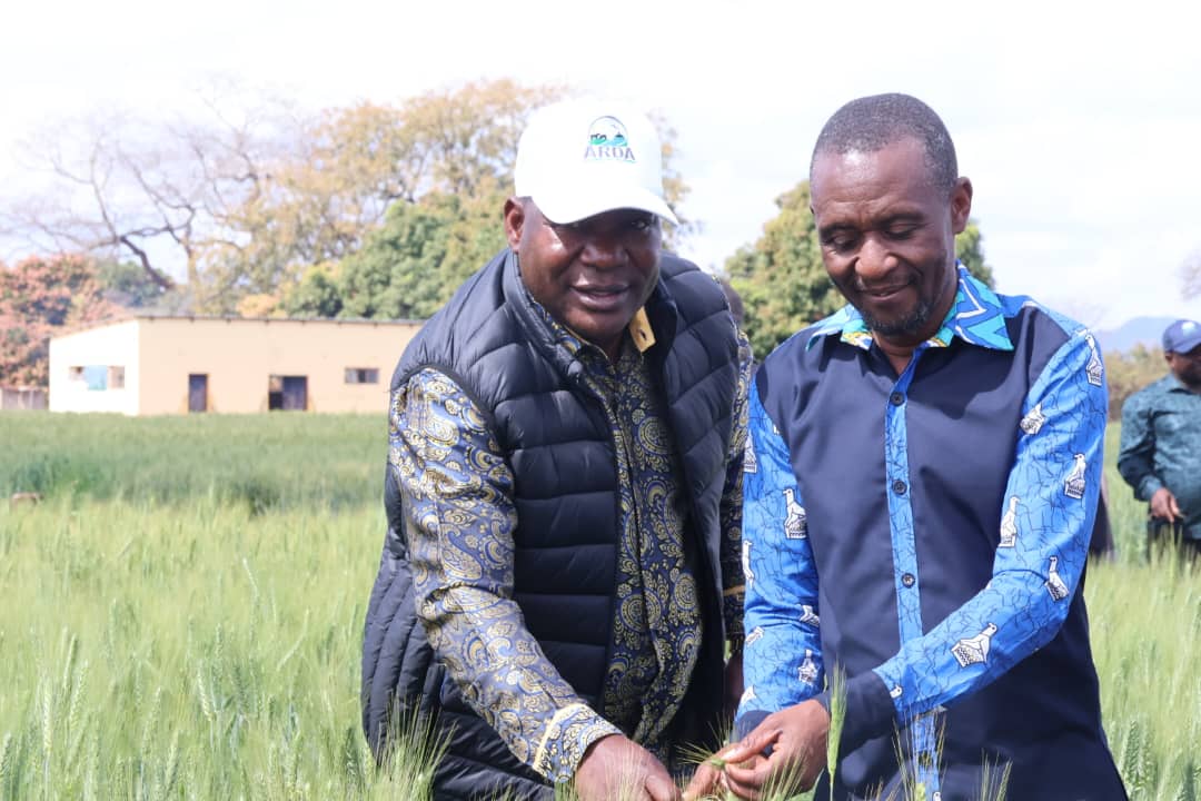 Banga farmers turn irrigation scheme into self-financing agricultural enterprise
