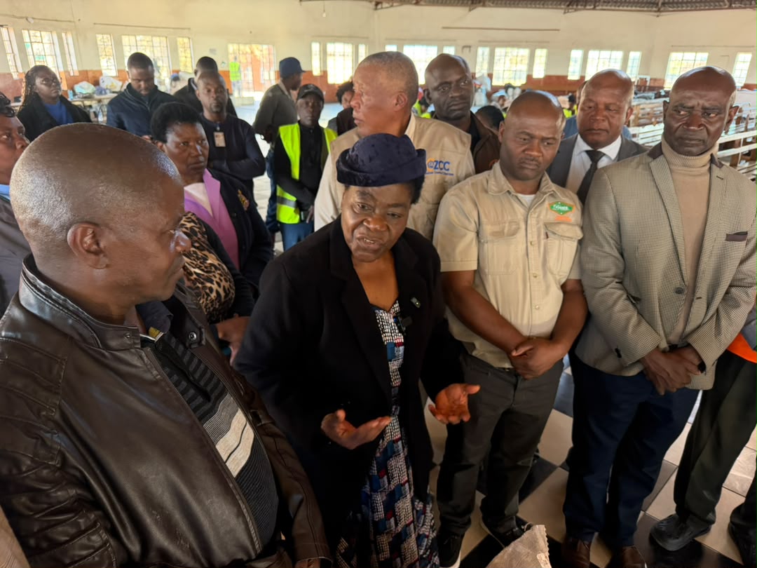 Bulawayo firms offer vocational training for returning Zimbabweans