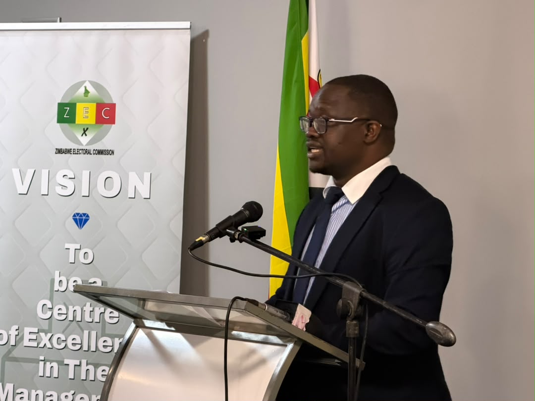 WATCH: Government calls for swift, accurate voter registration handover