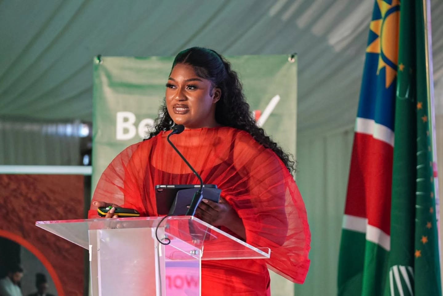 Another shake-up at Miss Universe Zimbabwe as board member resigns