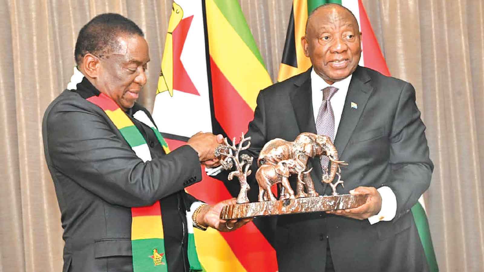 Zim, SA ties hit new highs