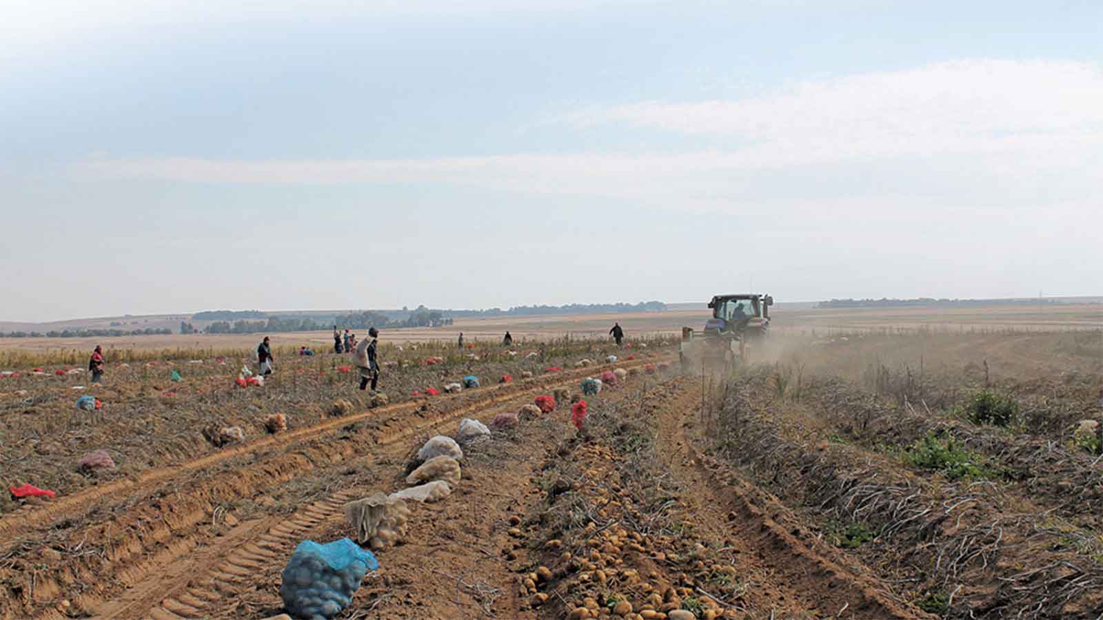 What 30 years of South African land reform really looks like