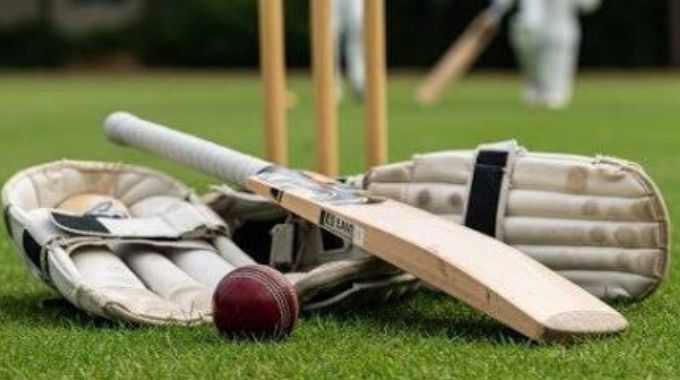 Cricket