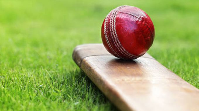 Cricket