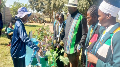 TALENT SHOWCASE . . . Beitbridge hosts colourful PASSAF in build-up to NASSAF