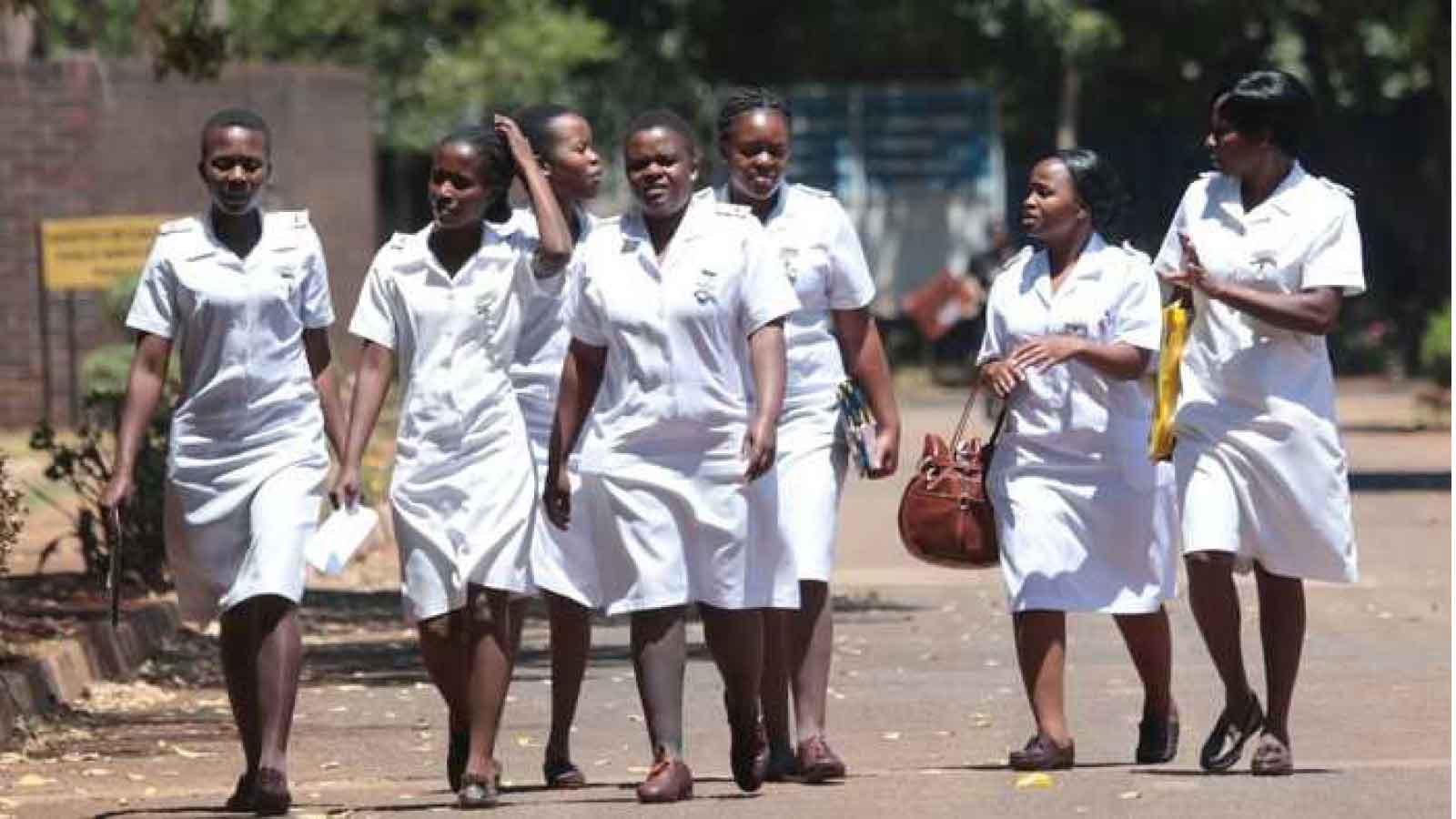 Road to a sustainable public healthcare system in Zimbabwe
