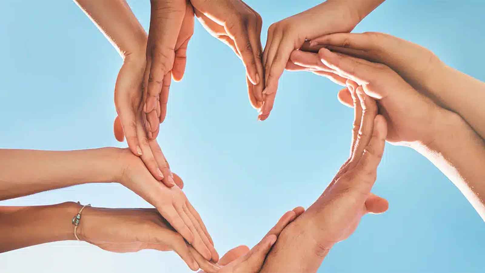 We can each contribute to world solidarity