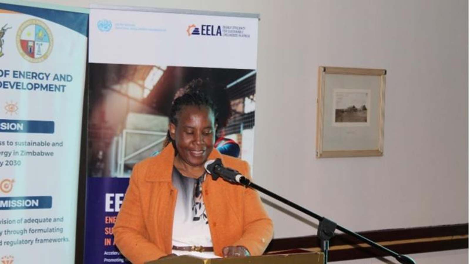 CZI calls for permanent energy efficiency system as EELA programme ends