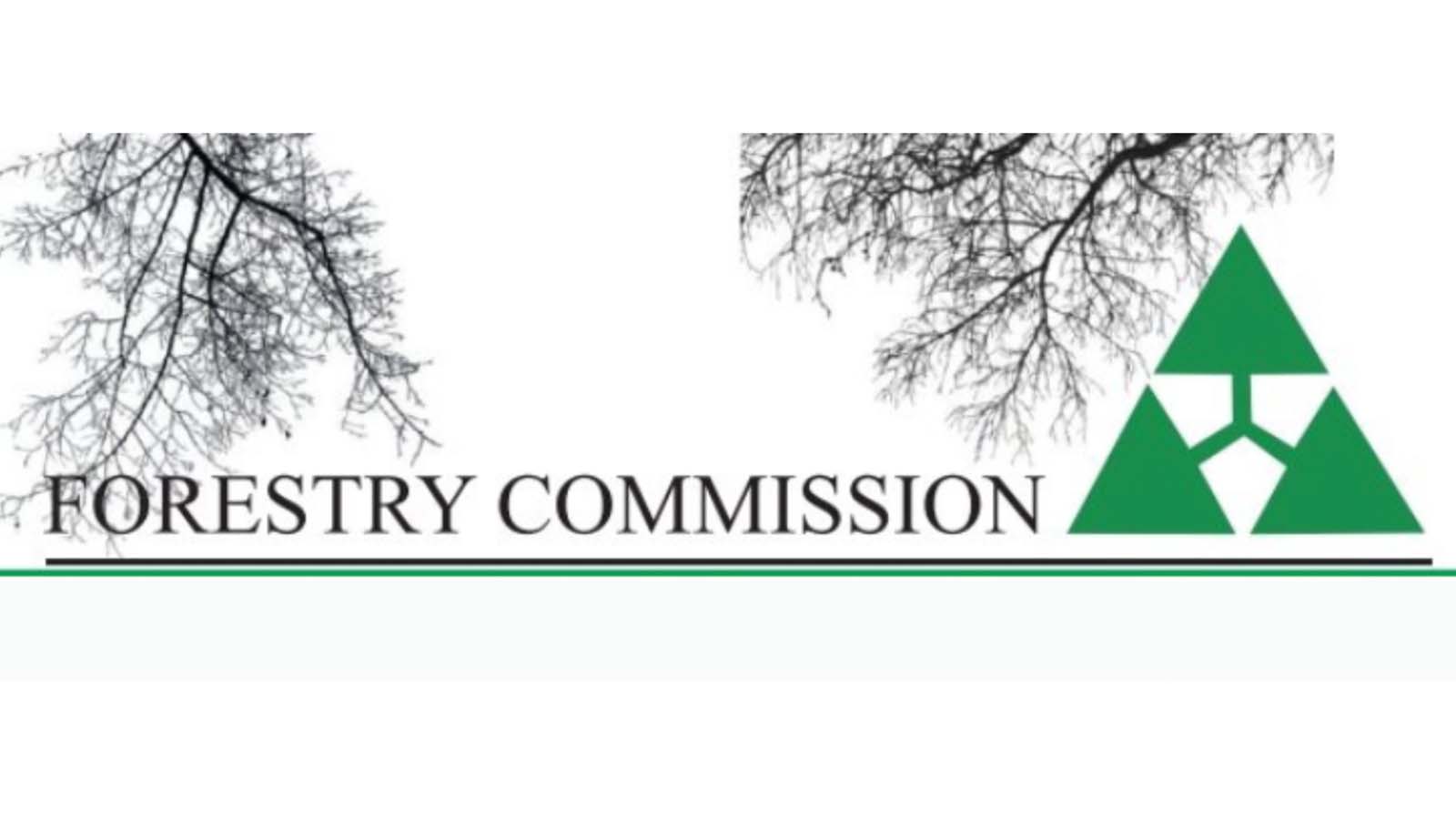 Forestry Commission woos investors with commercial leases for six prime forest estates