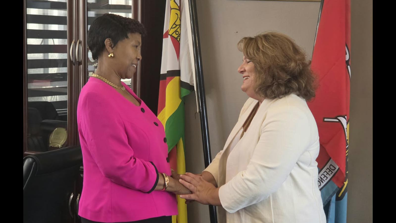 UN Special Rapporteur on Cultural Rights meets Min Muchinguri-Kashiri
