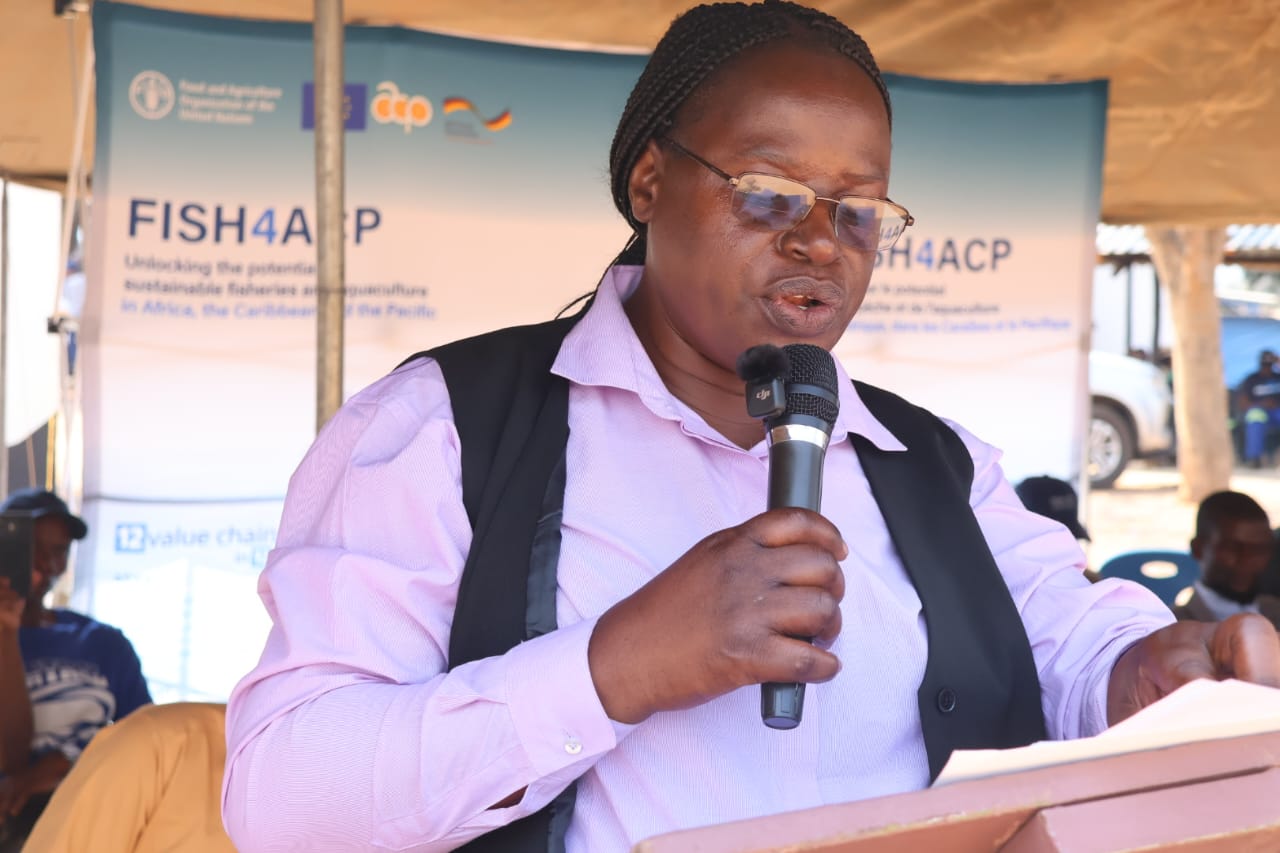 Masvingo turns to aquaculture as El Niño threatens agriculture