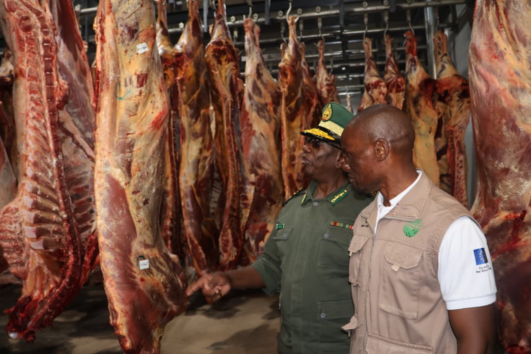 Chikurubi targets US$150 000 monthly livestock revenue