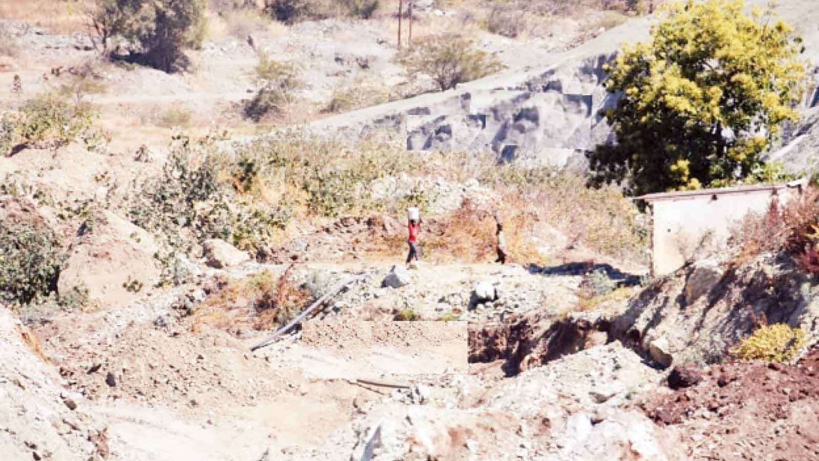 Resource management: Why both mining and agric must thrive