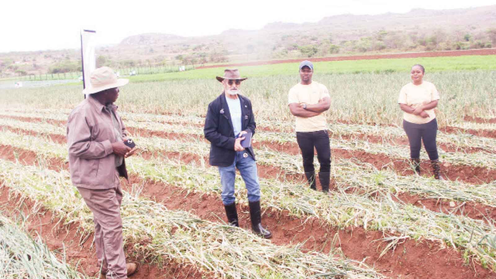 Good practices key to horticulture exports