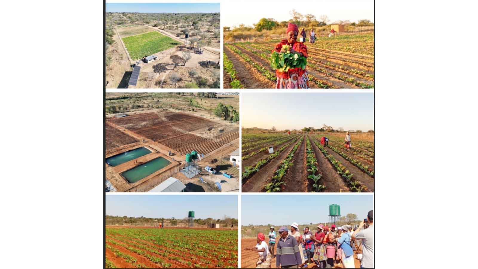 Flowing fortune: Clean water powering rural economic hubs