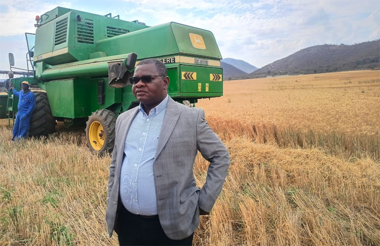 Bumper wheat harvest ensures food security