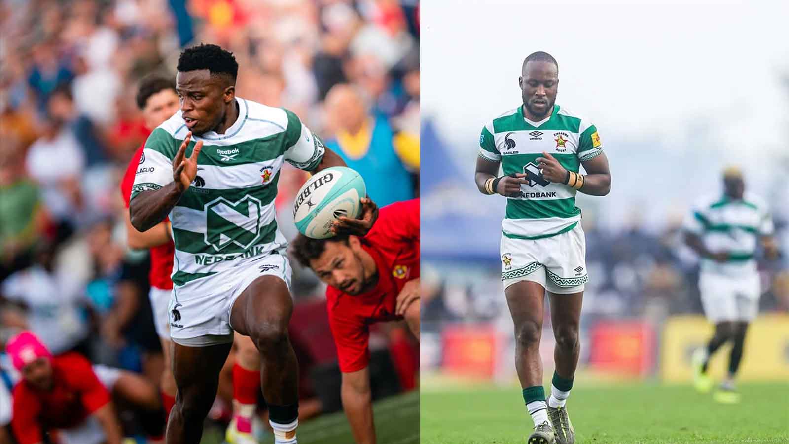 Cheetahs play the waiting game
