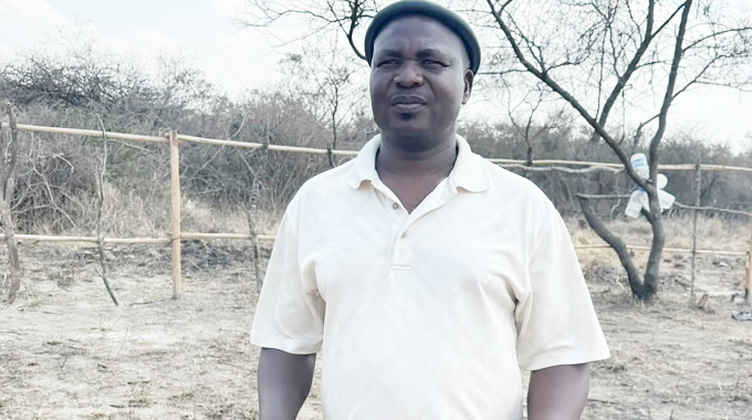 Cattle return to King Mzilikazi’s eMhlahlandlela