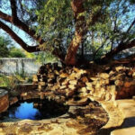 As rehabilitation opens a new chapter for the Hot Springs, can Nyanyadzi transform a generations-old cultural attraction into a serious wellness tourism destination without losing what makes it special?