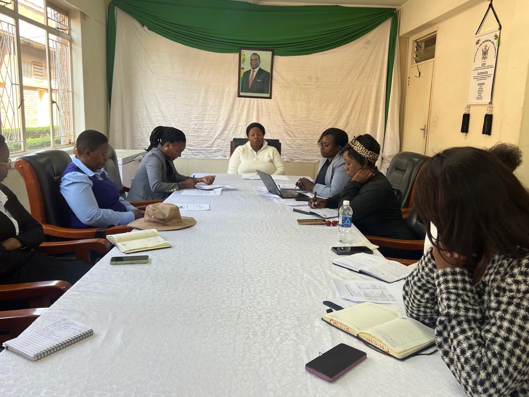 Matabeleland South advocates foster care over institutionalisation