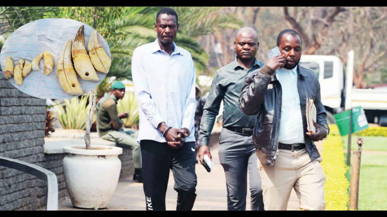 Lion teeth land Marondera man in court