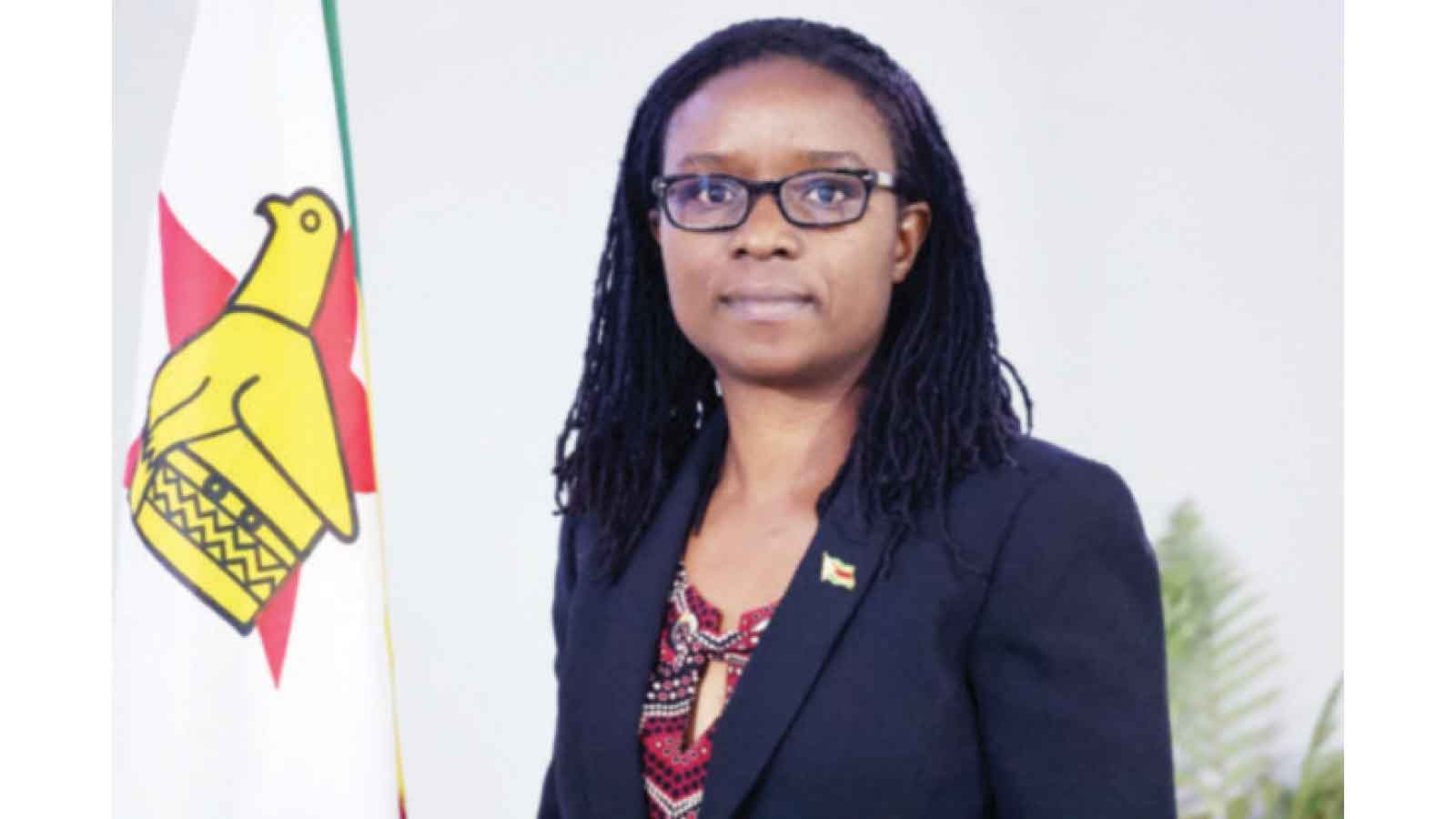 UNGA: Zimbabwe’s launchpad to global influence