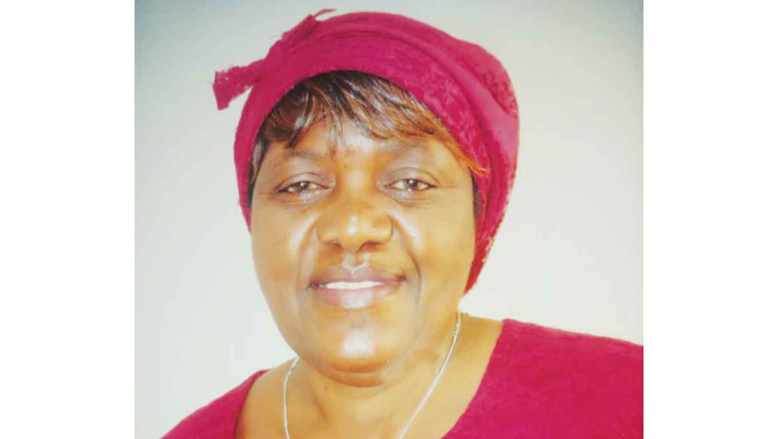 Ndlovu pens Ndebele resource book for beginners