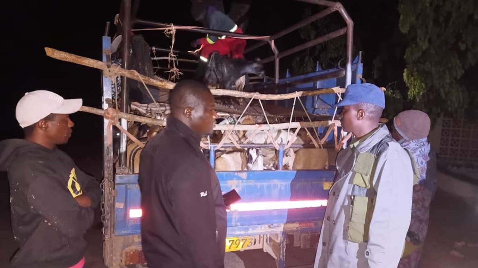 Seven suspects arrested, 90 goats and sheep recovered