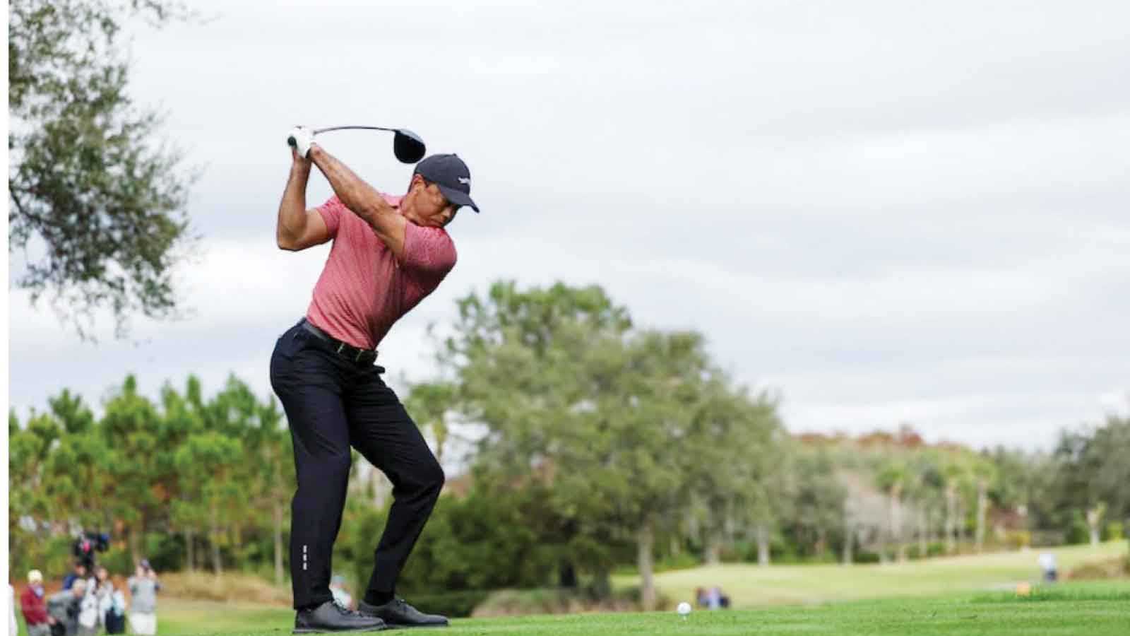 Tiger spotted on golf course